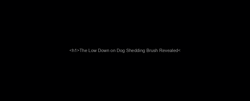 <h1>The Low Down on Dog Shedding Brush Revealed</h1>